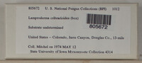 Image Associated With the Occurence